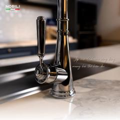 Ảnh Vòi rửa bát cần cứng NOBILI CHARLIE NB254 4