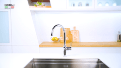 Ảnh Vòi rửa bát cần cứng NOBILI RING NB132 23