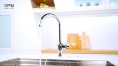 Ảnh Vòi rửa bát cần cứng NOBILI RING NB132 30