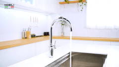 Ảnh Vòi rửa bát cần cứng NOBILI RING NB132 33