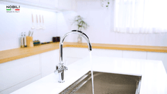 Ảnh Vòi rửa bát 3 đường nước NOBILI SORA NB164 22