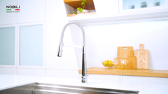 Ảnh Vòi rửa bát cần mềm NOBILI LIKID NB880 8