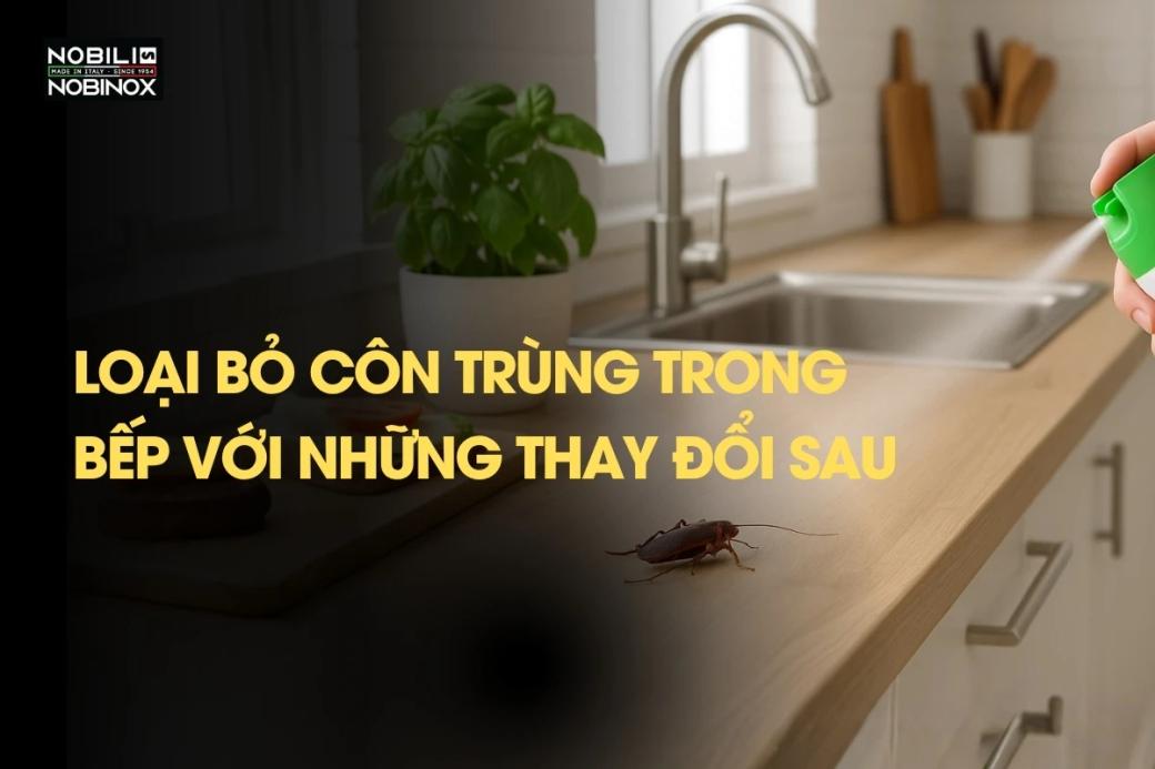 Loại bỏ côn trùng trong bếp với những thay đổi sau