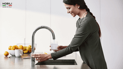 Ảnh Vòi rửa bát 3 đường nước NOBILI SORA NB164 2