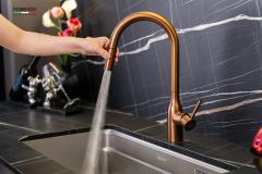 Ảnh VÒI RỬA BÁT DÂY RÚT NOBINOX AQUA NX662T 9