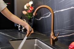 Ảnh VÒI RỬA BÁT DÂY RÚT NOBINOX AQUA NX662T 12