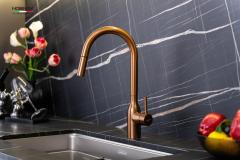 Ảnh VÒI RỬA BÁT DÂY RÚT NOBINOX AQUA NX662T 4