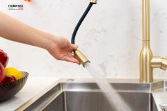 Ảnh VÒI RỬA BÁT DÂY RÚT NOBINOX AQUA NX663V 8