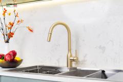 Ảnh VÒI RỬA BÁT DÂY RÚT NOBINOX AQUA NX663V 4