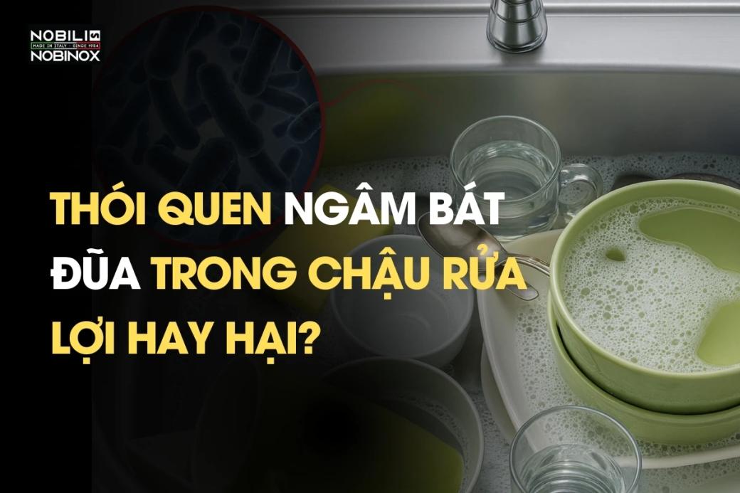 Thói quen ngâm bát đũa trong chậu rửa: Lợi Hay Hại?