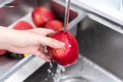 Ảnh VÒI RỬA BÁT DÂY RÚT NOBINOX JAPA NX998 9